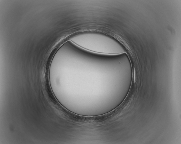 X0000115640483200911101059