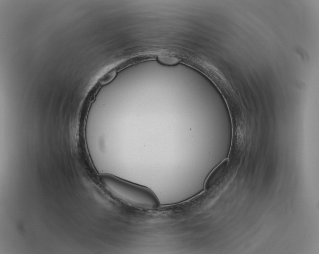 X0000115640484200911101059