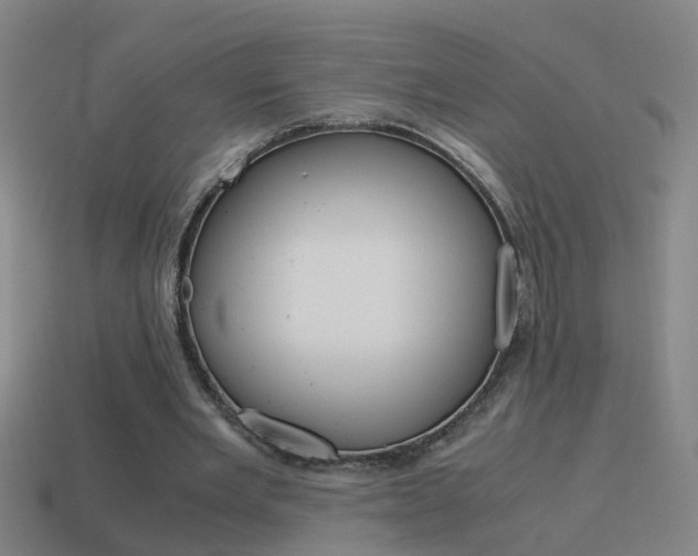 X0000115640485200911101059