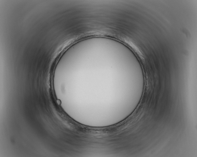X0000115640486200911101059