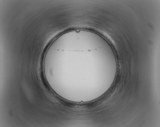 X0000115640487200911101059
