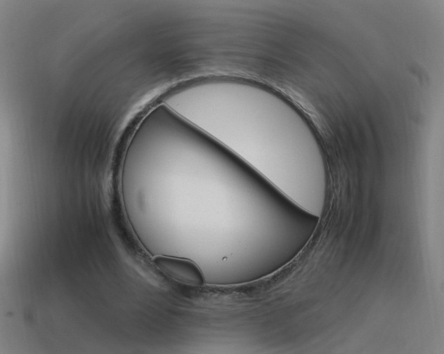X0000115640488200911101059
