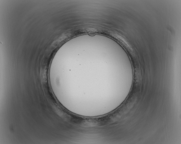 X0000115640489200911101059