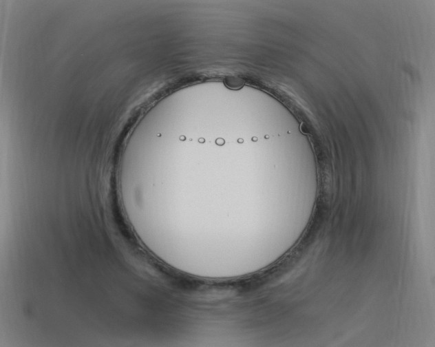 X0000115640491200911101059