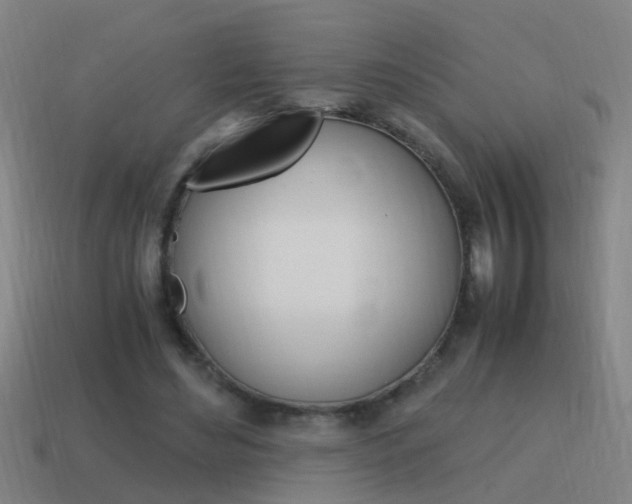 X0000115640492200911101059