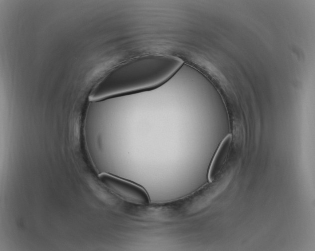 X0000115640493200911101059