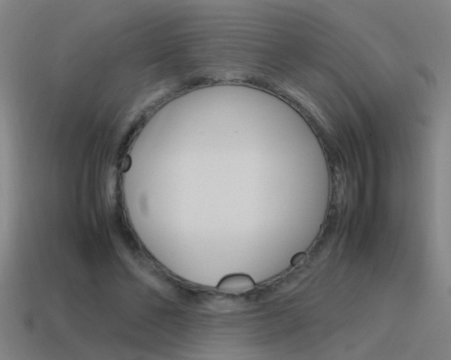X0000115640494200911101059