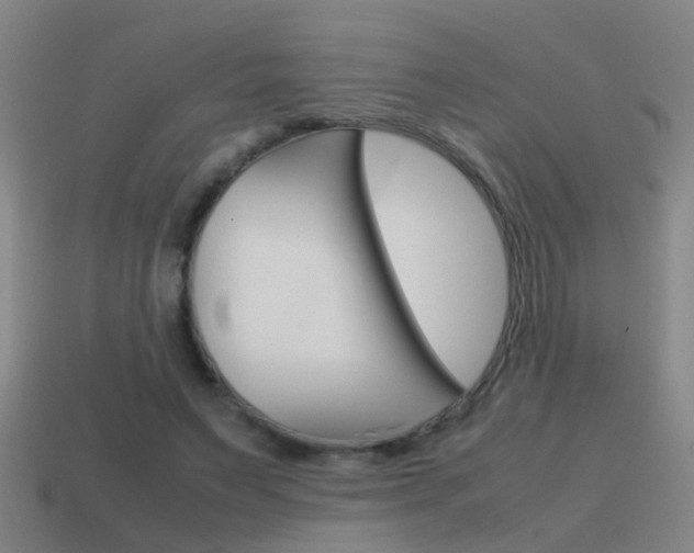 X0000115640495200911101059