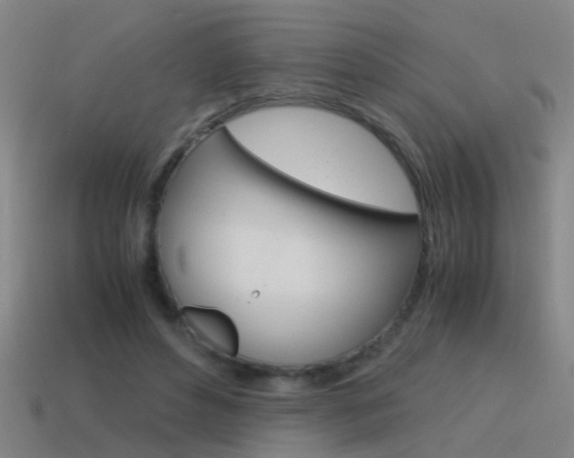 X0000115640496200911101059
