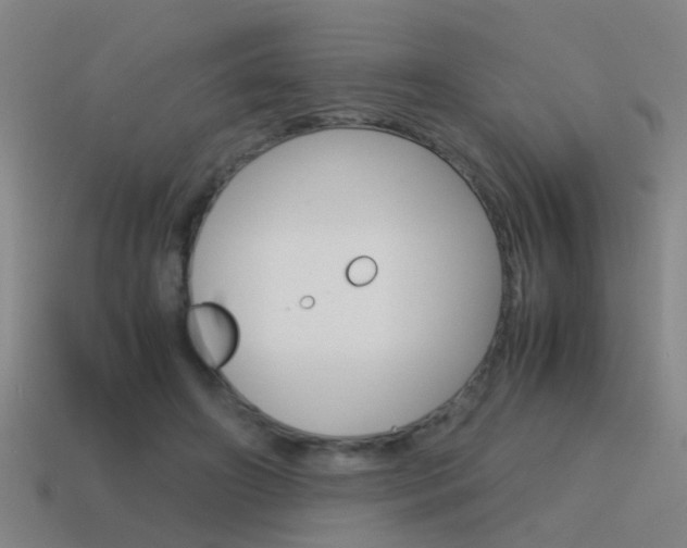 X0000115640498200911101059