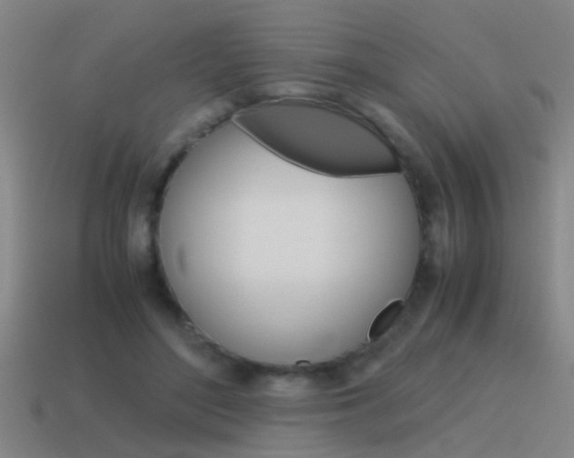 X0000115640500200911101059