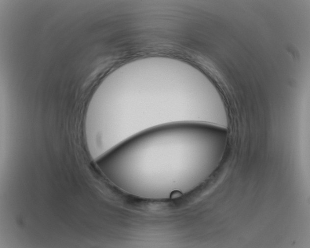 X0000115640501200911101059
