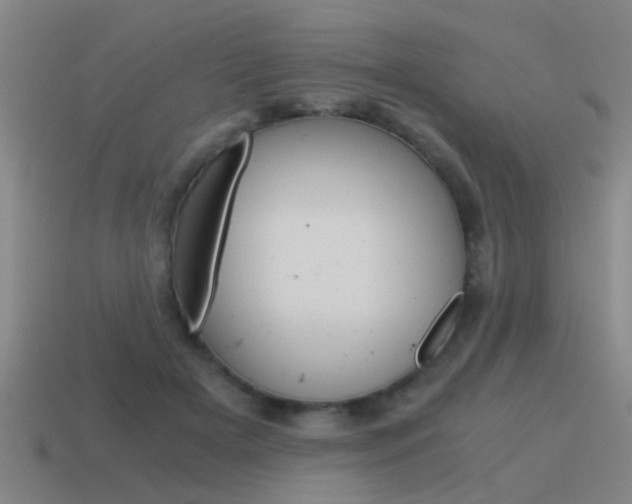 X0000115640505200911101059