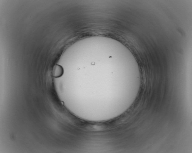 X0000115640506200911101059