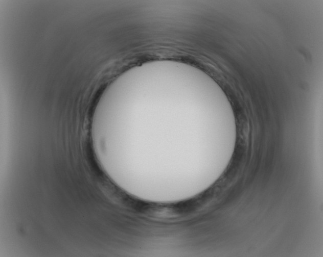 X0000115640507200911101059