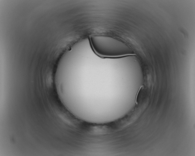 X0000115640508200911101059
