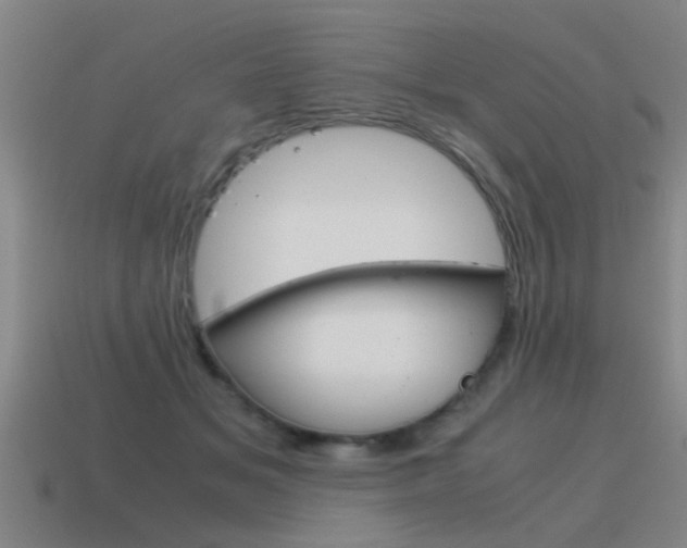 X0000115640509200911101059
