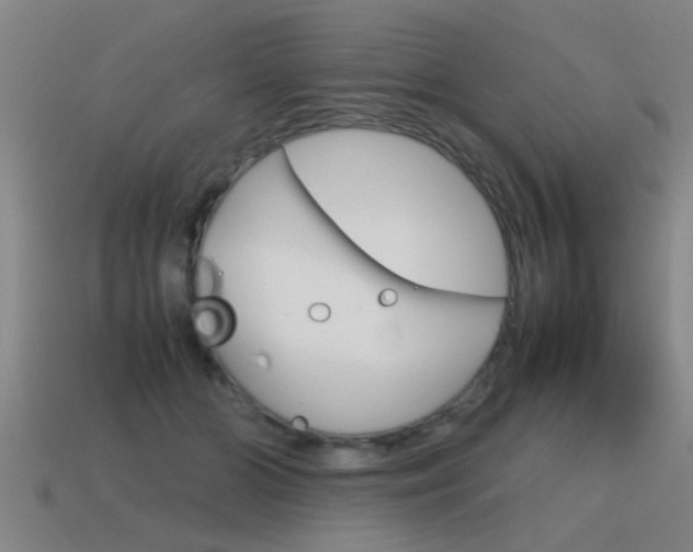 X0000115640510200911101059