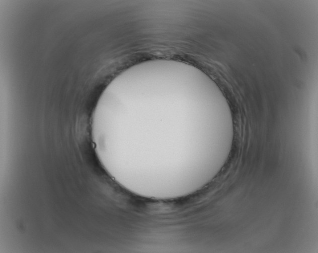 X0000115640511200911101059