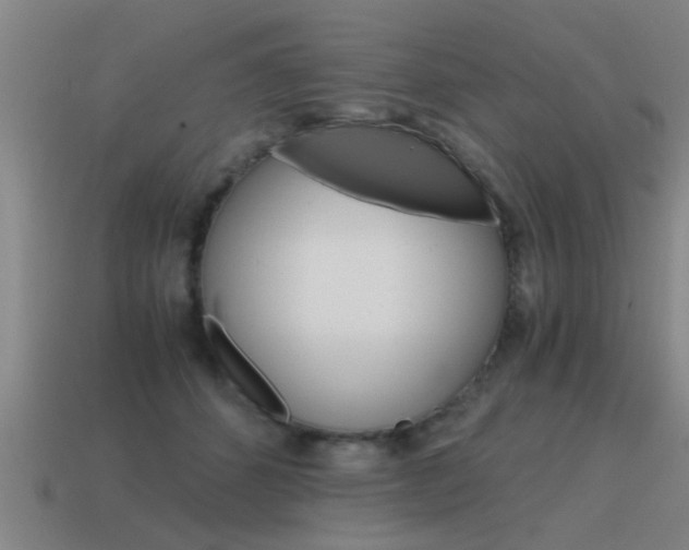 X0000115640512200911101059