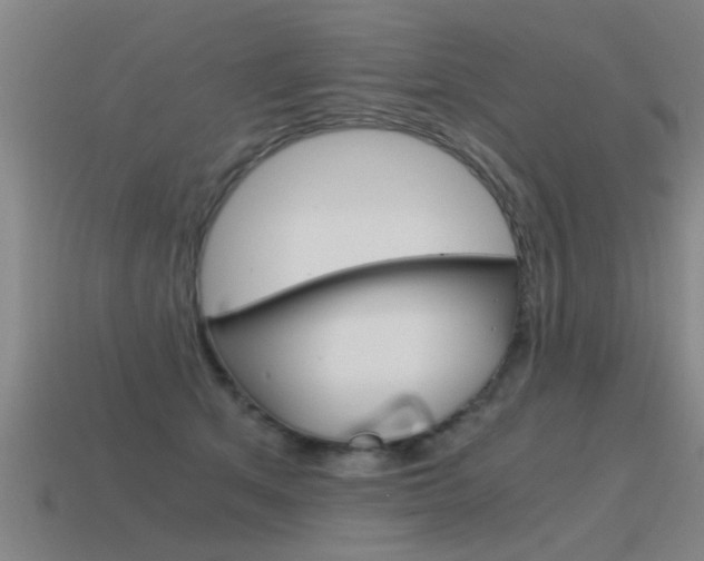 X0000115640513200911101059