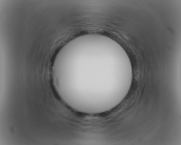 X0000115640515200911101059