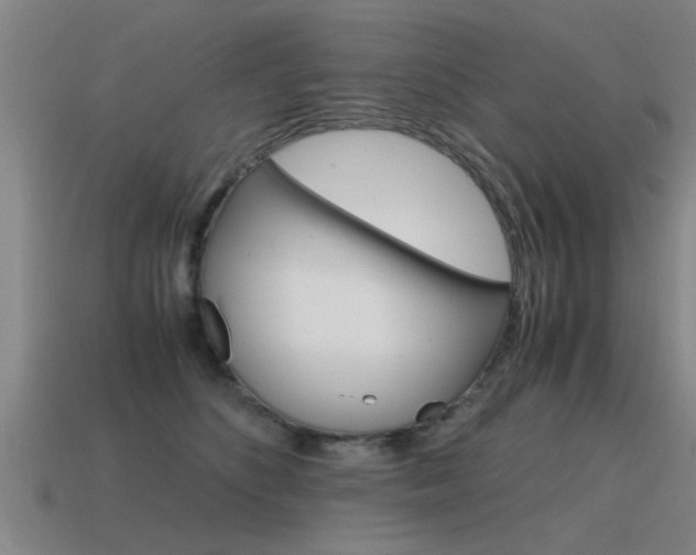 X0000115640516200911101059