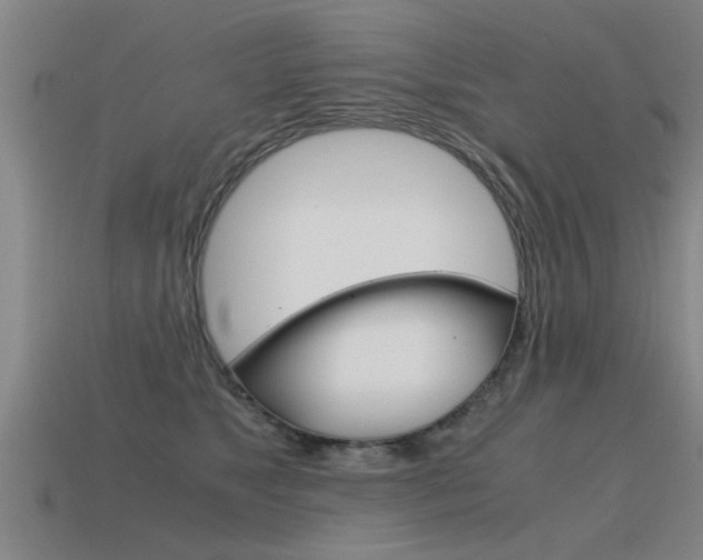 X0000115640517200911101059