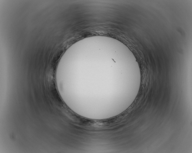 X0000115640518200911101059
