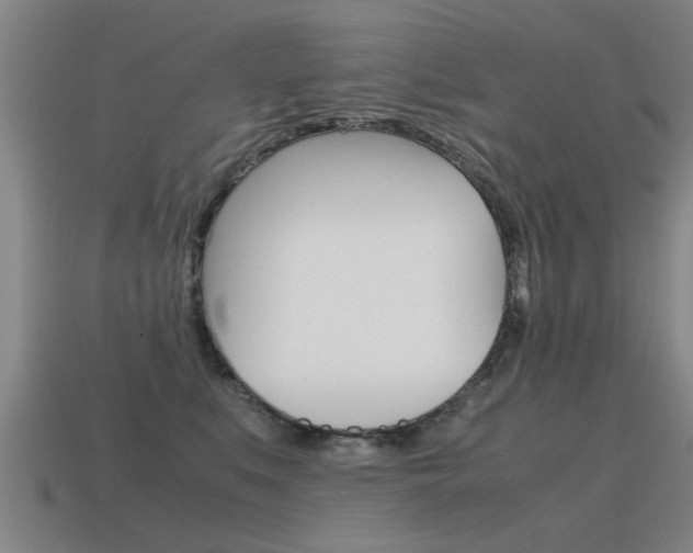 X0000115640519200911101059