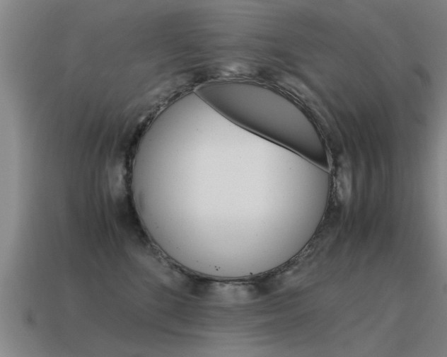 X0000115640520200911101059