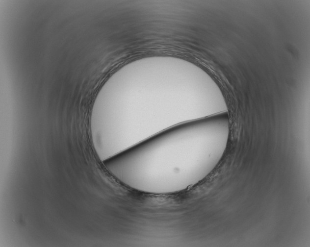 X0000115640521200911101059