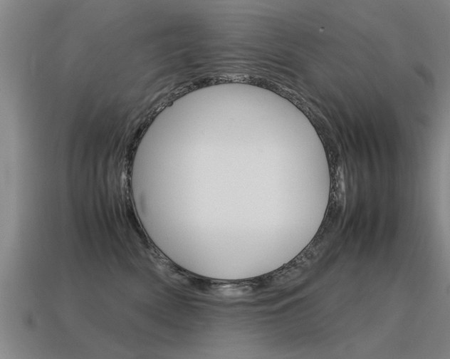 X0000115640522200911101059