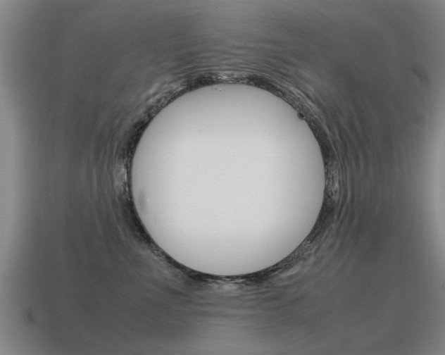 X0000115640523200911101059