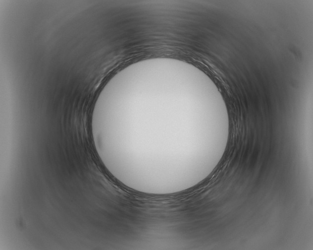 X0000115640524200911101059