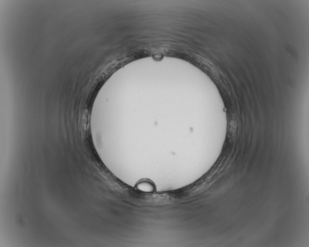 X0000115640525200911101059