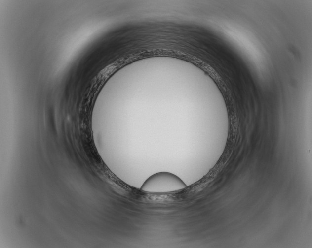 X0000115640526200911101059