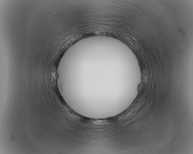 X0000115640527200911101059