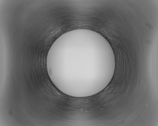 X0000115640528200911101059