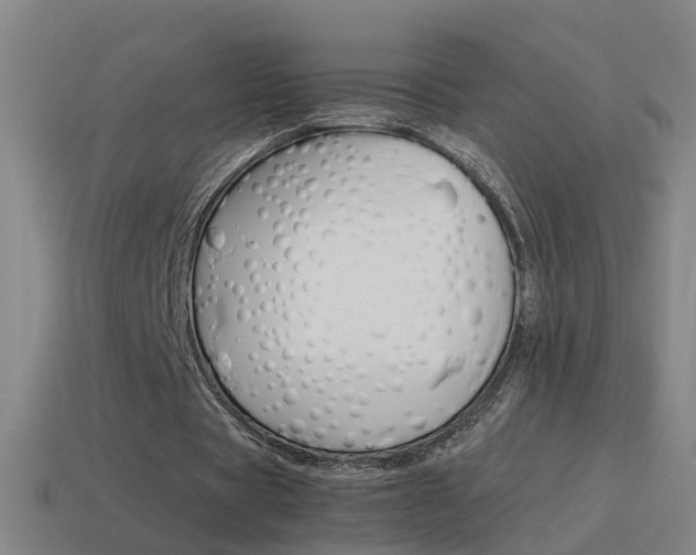 X0000115640529200911101058