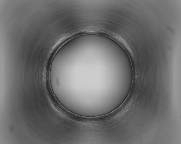 X0000115640530200911101058