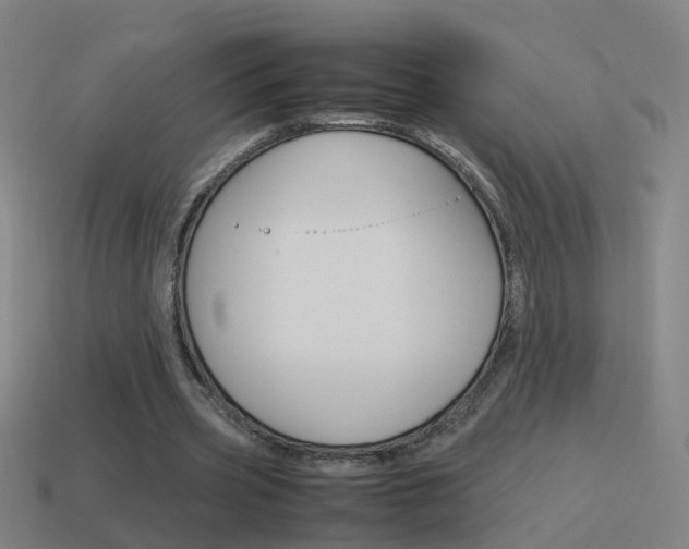 X0000115640533200911101058