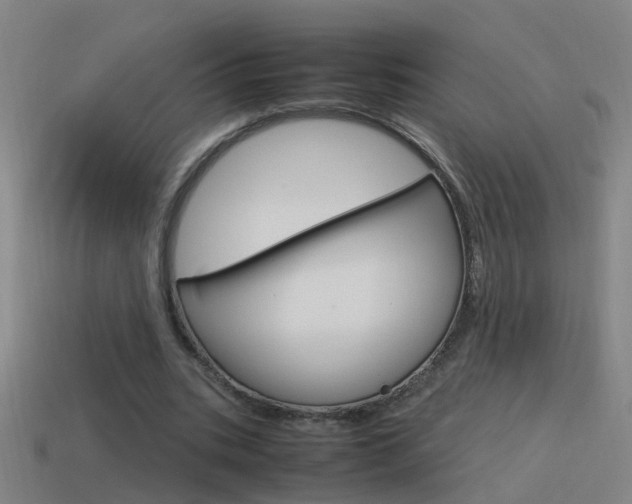 X0000115640535200911101058
