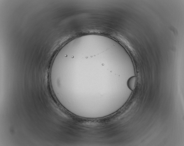 X0000115640537200911101058