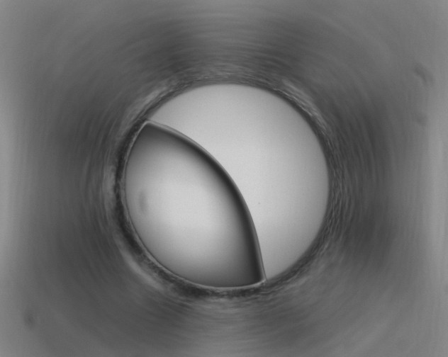 X0000115640538200911101058