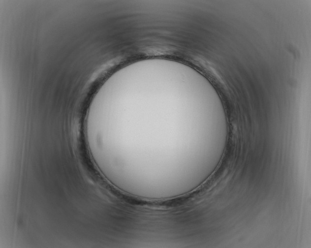 X0000115640539200911101058