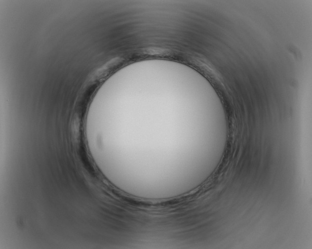 X0000115640542200911101058