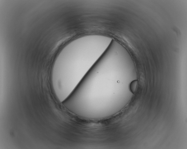 X0000115640543200911101058