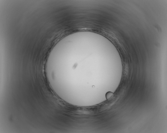 X0000115640545200911101058
