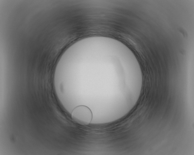 X0000115640546200911101058